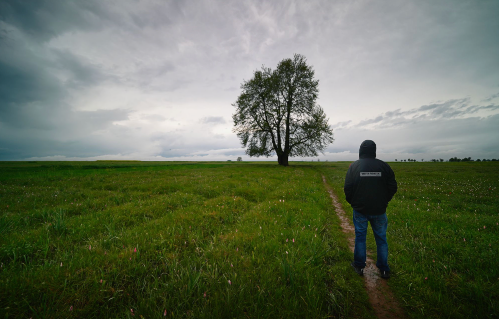 Finding Faith in Nature: What the Beauty of Creation Can Teach Us
