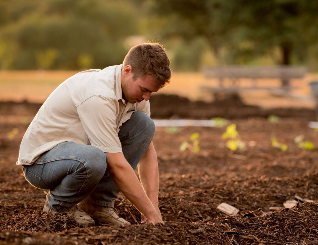 The REAL (Biblical) Meaning of George? - Origin, History & Stories