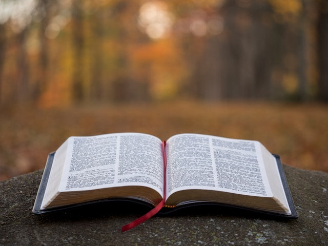 When More Is Too Much: Bible Lessons For A Burned-Out Life