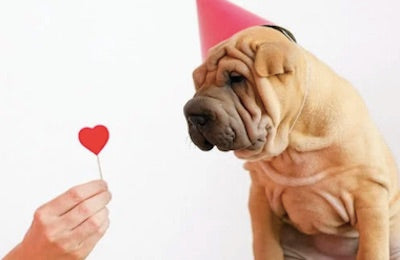 11 Bible Verses About God’s Unconditional Love for Us (With Commentary)
