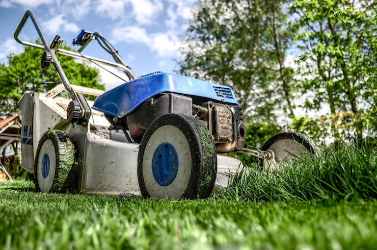 What Christian Stewardship Can Teach Us About Caring for Our Homes and Yards