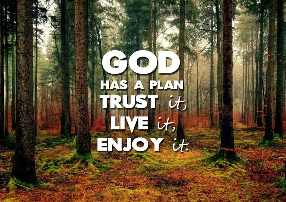 8 Bible Verses About God's Plan for Us His Will Be Done Christian Walls