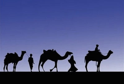 16 Bible Verses About Wisdom (With Commentary)