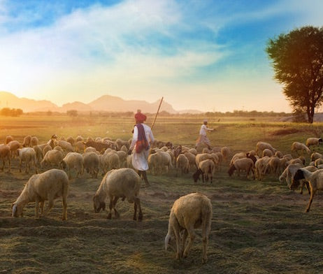 Psalm 23: Meaning, Origins, Context & Importance