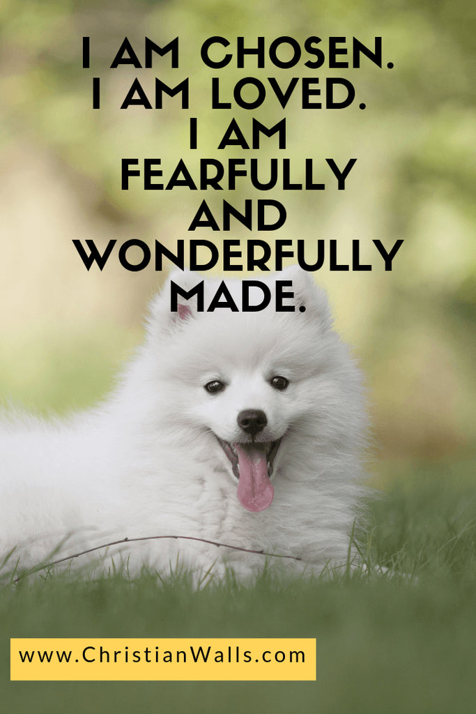 Top 35 Bible Verses & Christian Quotes about Kindness & Love