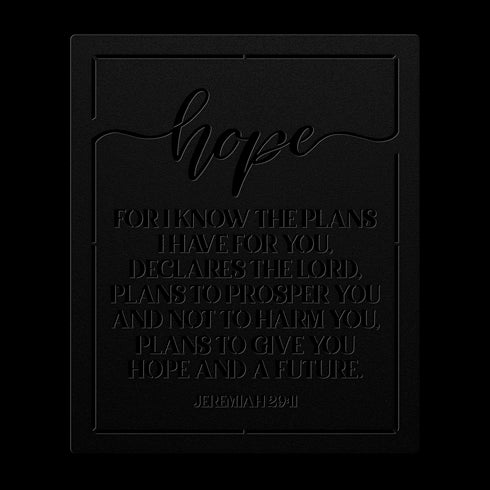 #137 Jeremiah 29:11 Metal Sign