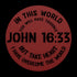 #148 - John 16:33 “In this world you will have trouble. But take heart! I have overcome the world.” metal wall art