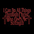 Philippians 4:13 “I can do all things through Christ who gives me strength” metal wall art #168