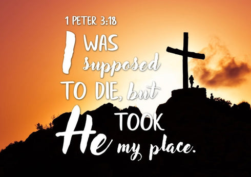 1 Peter 3:18 Canvas Wall Art Print