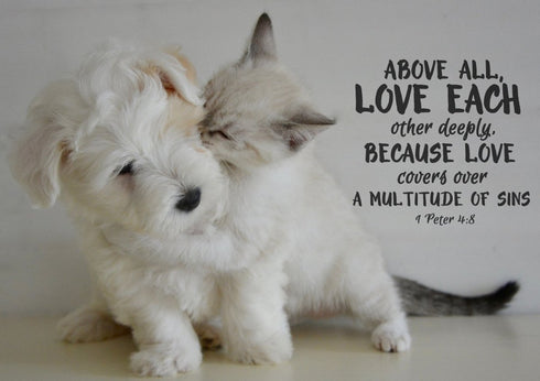 1 Peter 4:8 Above All Love Each Other Canvas Wall Art Print