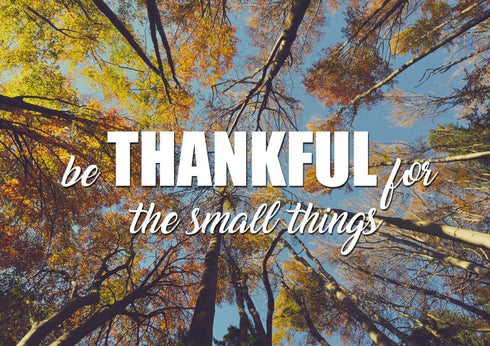 Be Thankful for the small things Wall Art Canvas Print