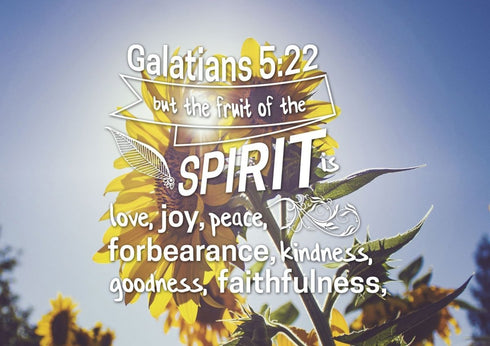 Galatians 5:22 #2 Fruit of the Spirit Bible Verse Canvas Wall Art