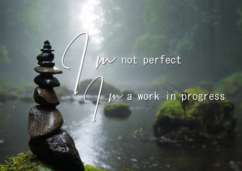 I'm not Perfect Im a Work in Progress Wall Art Canvas Print