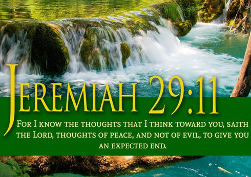 Jeremiah 29:11 KJV #11 Bible Verse Canvas Wall Art