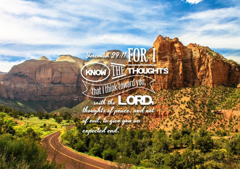 Jeremiah 29:11 KJV #3 Bible Verse Canvas Wall Art