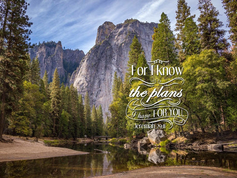 Jeremiah 29:11 NIV #1 Bible Verse Canvas Wall Art