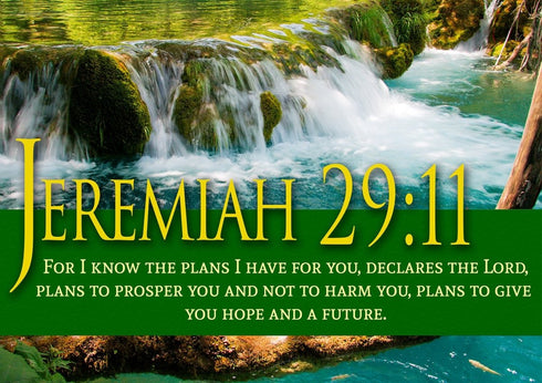 Jeremiah 29:11 NIV #11 Bible Verse Canvas Wall Art