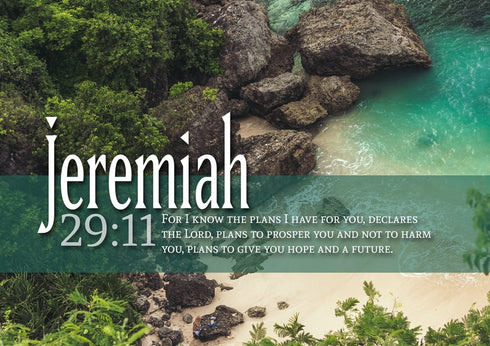 Jeremiah 29:11 NIV #12 Bible Verse Wall Art