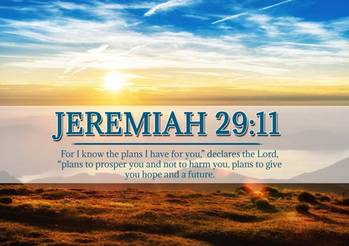 Jeremiah 29:11 NIV #13 Bible Verse Canvas Wall Art