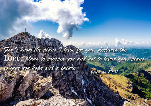 Jeremiah 29:11 NIV #4 Bible Verse Canvas Wall Art