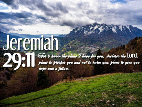 Jeremiah 29:11 NIV #5 Bible Verse Canvas Wall Art