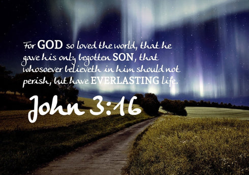 John 3:16 KJV #13 Bible Verse Canvas Wall Art
