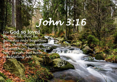 John 3:16 KJV #14 Bible Verse Canvas Wall Art