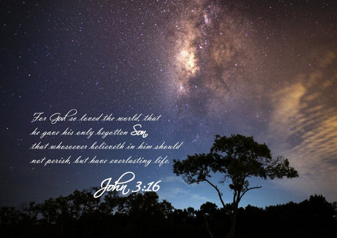 John 3:16 KJV #16 Bible Verse Canvas Wall Art