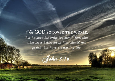 John 3:16 KJV #17 Bible Verse Canvas Wall Art