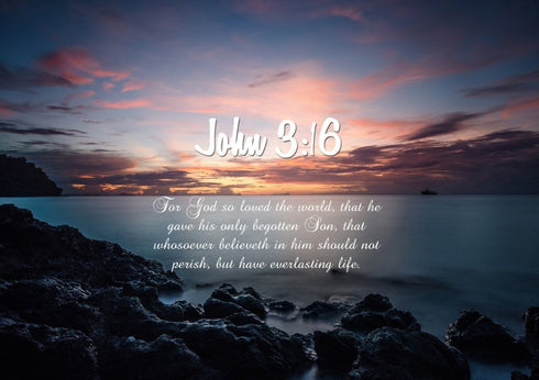 John 3:16 KJV #18 Bible Verse Canvas Wall Art