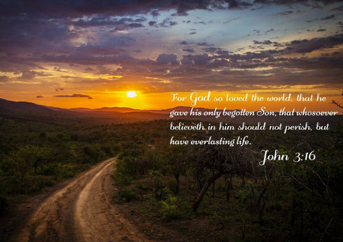 John 3:16 KJV #20 Bible Verse Canvas Wall Art