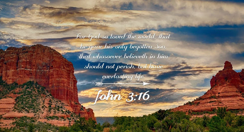 John 3:16 KJV #21 Bible Verse Canvas Wall Art