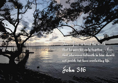John 3:16 KJV #24 Bible Verse Canvas Wall Art