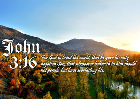 John 3:16 KJV #26 Bible Verse Canvas Wall Art