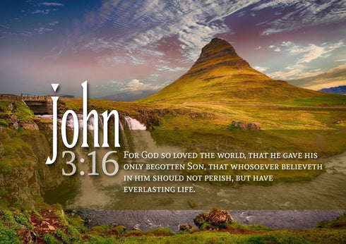 John 3:16 KJV #27 Bible Verse Canvas Wall Art