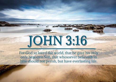 John 3:16 KJV #29 Bible Verse Canvas Wall Art