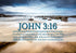 John 3:16 KJV #29 Bible Verse Canvas Wall Art