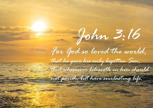 John 3:16 KJV #3 Bible Verse Canvas Wall Art