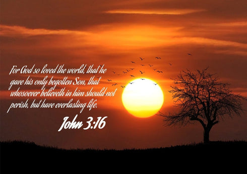 John 3:16 KJV #6 Bible Verse Canvas Wall Art