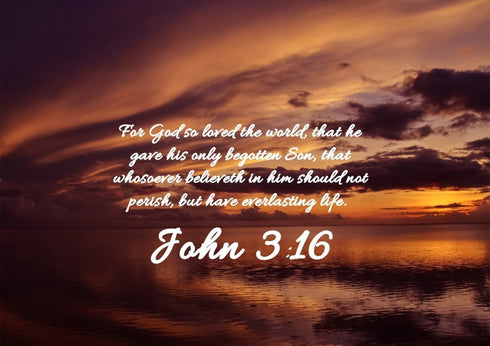 John 3:16 KJV #8 Bible Verse Canvas Wall Art