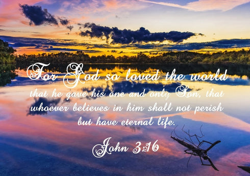 John 3:16 NIV #1 Bible Verse Canvas Wall Art