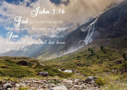 John 3:16 NIV #10 Bible Verse Canvas Wall Art