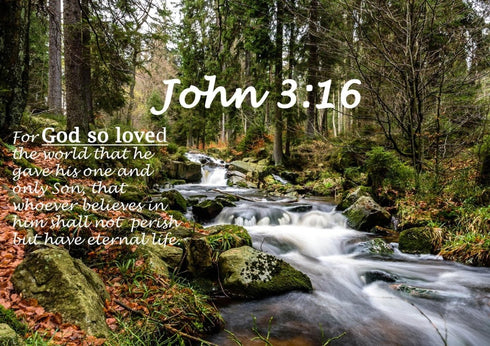 John 3:16 NIV #14 Bible Verse Canvas Wall Art