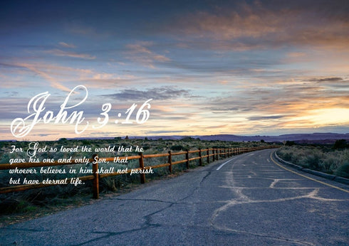 John 3:16 NIV #15 Bible Verse Canvas Wall Art