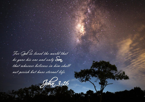 John 3:16 NIV #16 Bible Verse Canvas Wall Art