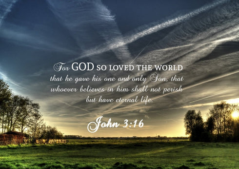 John 3:16 NIV #17 Bible Verse Canvas Wall Art