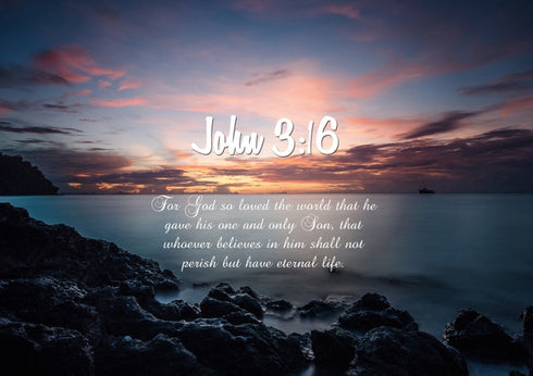 John 3:16 NIV #18 Bible Verse Canvas Wall Art
