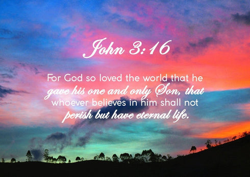 John 3:16 NIV #19 Bible Verse Canvas Wall Art