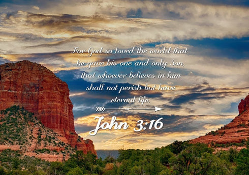 John 3:16 NIV #21 Bible Verse Canvas Wall Art