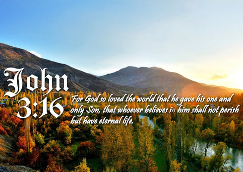 John 3:16 NIV #26 Bible Verse Canvas Wall Art
